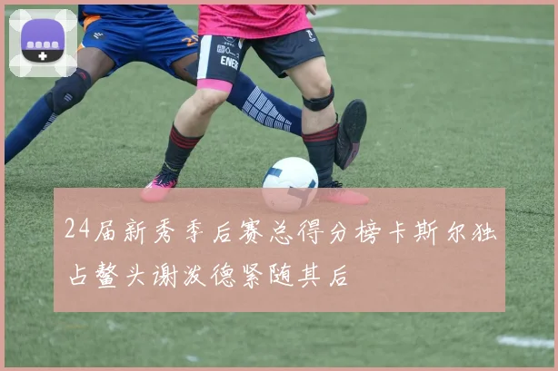 24届新秀季后赛总得分榜卡斯尔独占鳌头谢泼德紧随其后