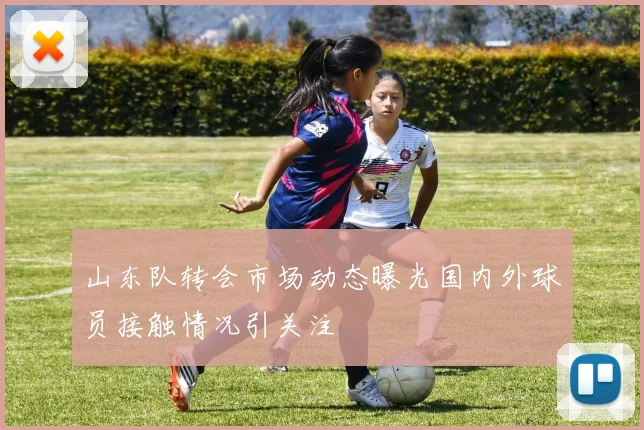 山东队转会市场动态曝光国内外球员接触情况引关注